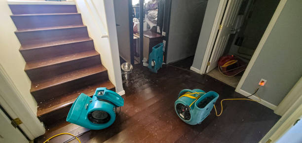 Best Emergency water damage restoration  in Toronto, OH