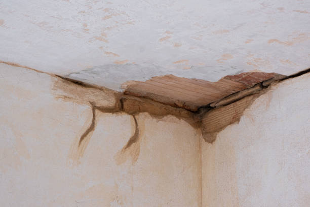 Best Flood restoration services  in Toronto, OH