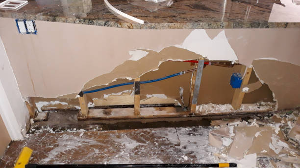 Best Professional water damage repair  in Toronto, OH