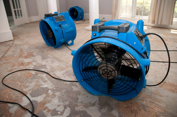 Best Ceiling water damage repair  in Toronto, OH