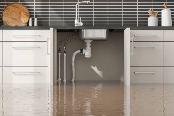 Best Basement water damage restoration  in Toronto, OH
