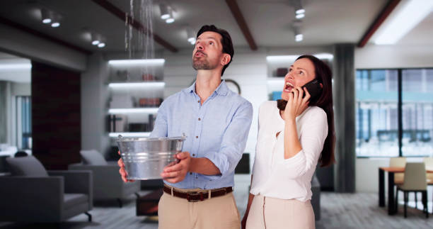 Best Carpet water damage restoration  in Toronto, OH